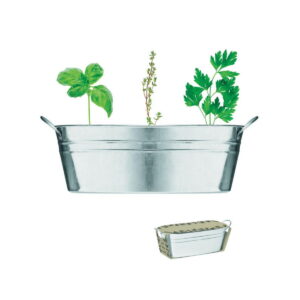 Cynkowa wanienka z nasionami MIX SEEDS mo6497-16