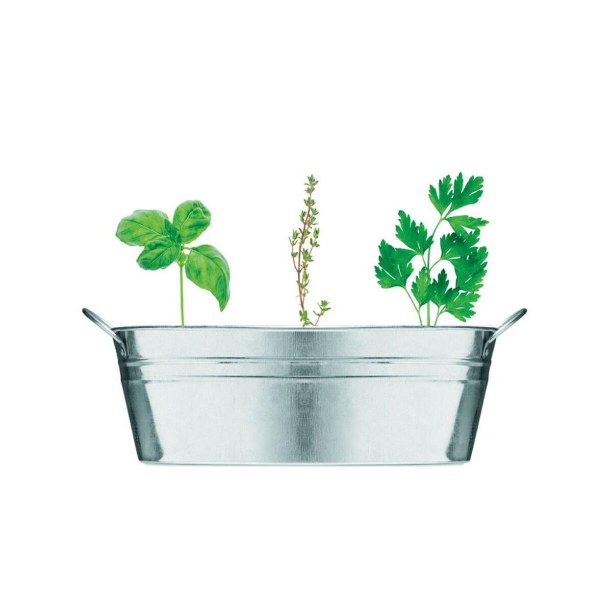 Gadżety do ogrodu z logo – cynkowa wanienka z nasionami mix seeds mo6497-16-back Cynkowa wanienka z nasionami MIX SEEDS mo6497-16-back