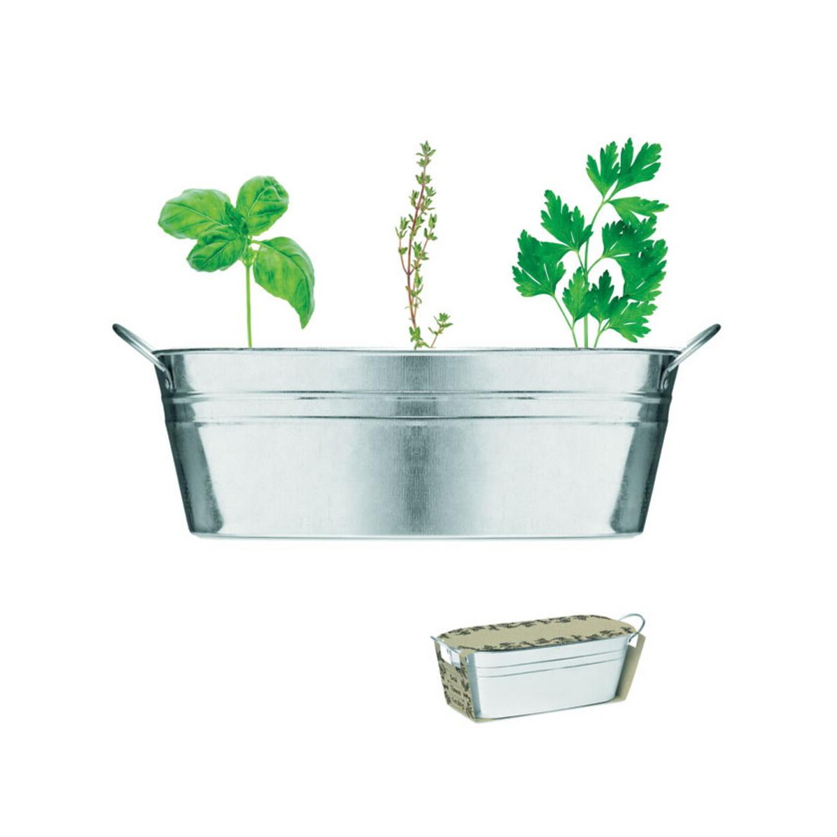 Gadżety do ogrodu z logo – cynkowa wanienka z nasionami mix seeds mo6497-16 Cynkowa wanienka z nasionami MIX SEEDS mo6497-16