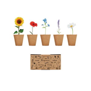 Zestaw do uprawy kwiatów FLOWERS mo6500-13