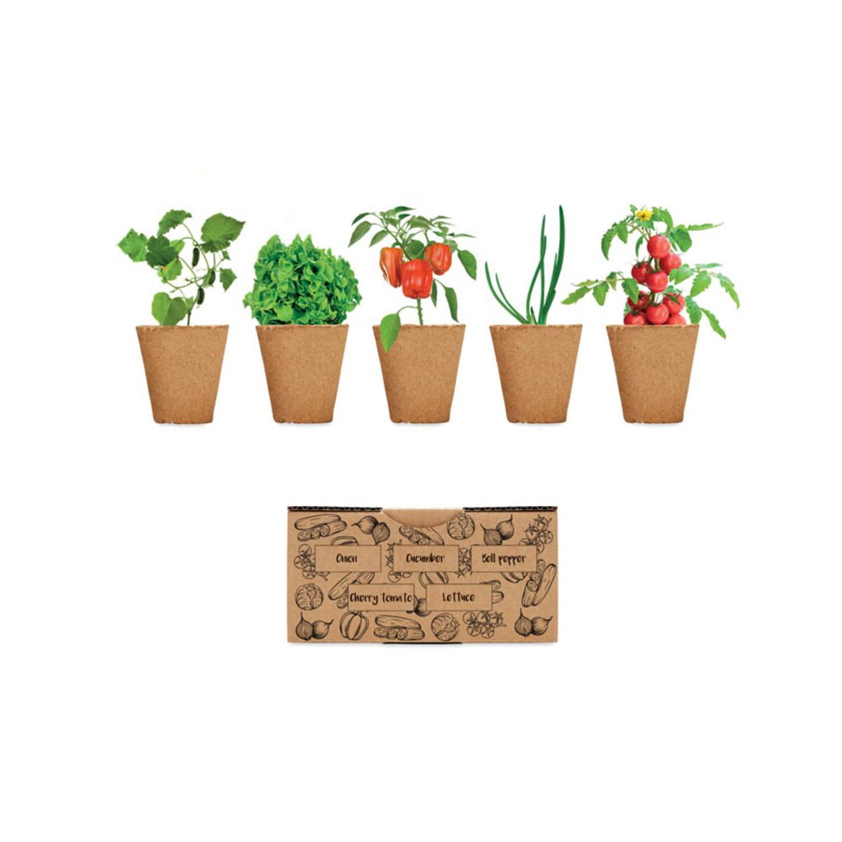 Gadżety do ogrodu z logo – zestaw do uprawy sałaty salad mo6499-13 Zestaw do uprawy sałaty SALAD mo6499-13