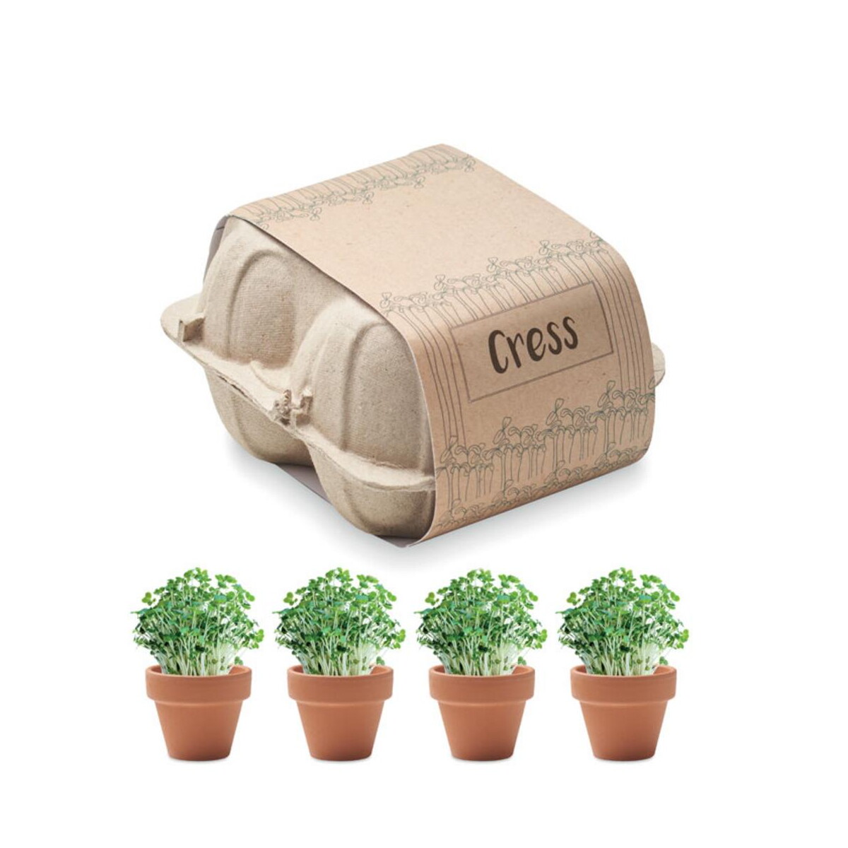 Zestaw do uprawy w kartonie CRESS mo6886-13