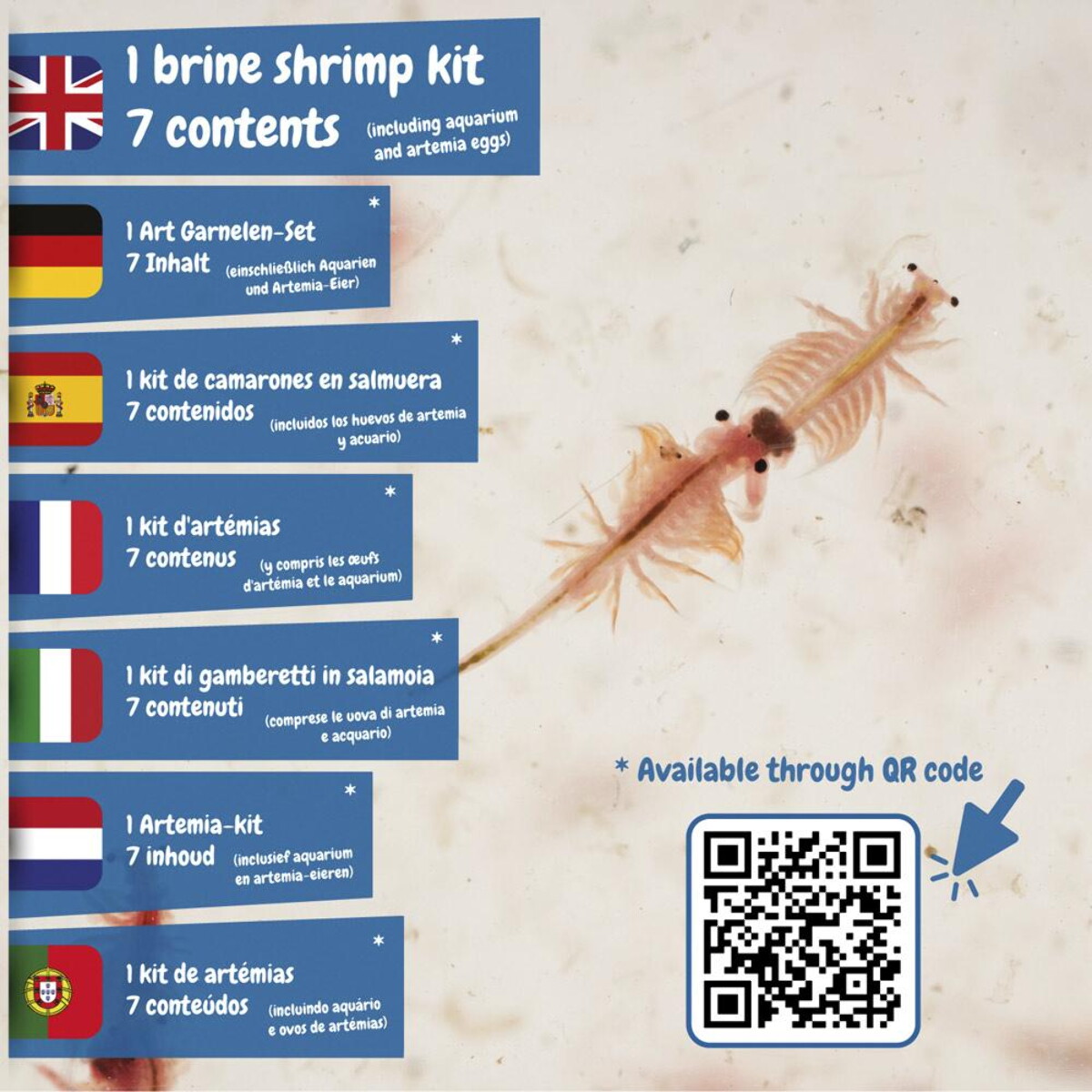 Gry z logo – jurassic pets kit i. gra edukacyjna dla dzieci 35828_100-f Jurassic Pets Kit I. Gra edukacyjna dla dzieci 35828_100-f