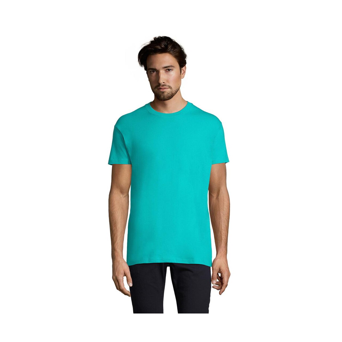 Koszulki z logo – imperial men t-shirt 190g imperial s11500-cb IMPERIAL MEN T-Shirt 190g IMPERIAL s11500-cb