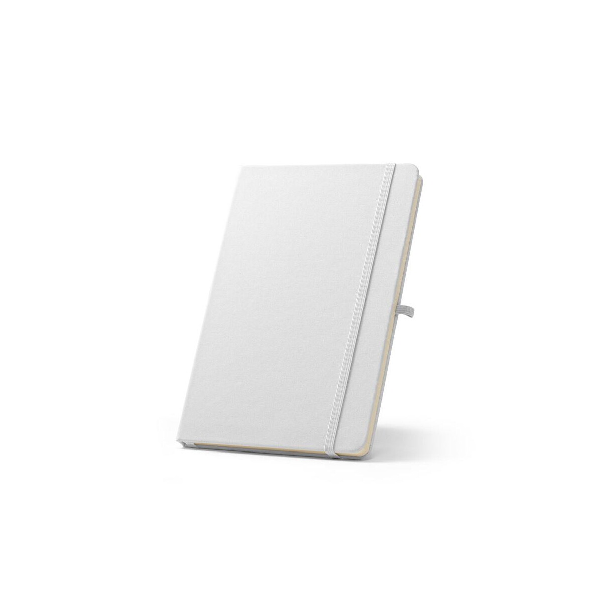 Notesy z logo – anne sub 93653_106 ANNE SUB 93653_106