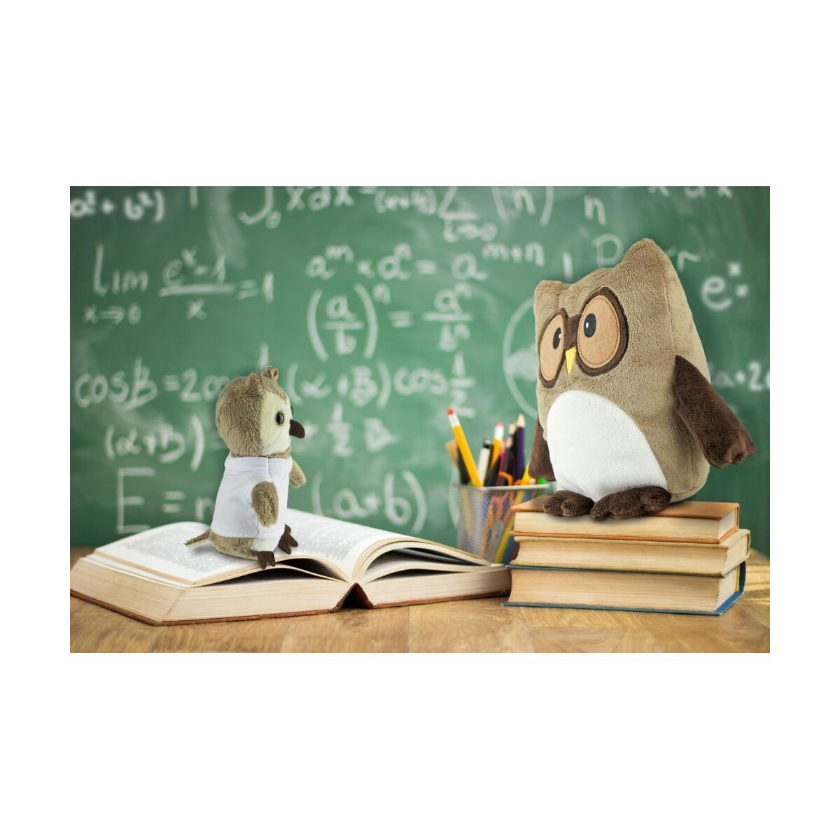 Pluszaki z logo – pluszowa poduszka, sowa | professowl HE785_A Pluszowa poduszka, sowa | Professowl HE785_A