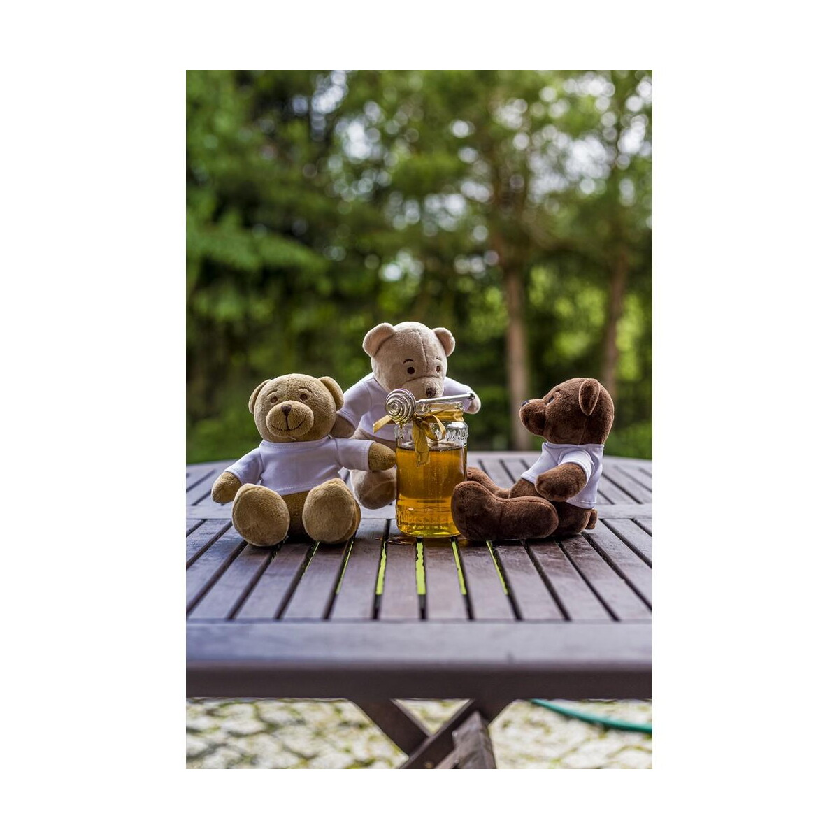Pluszaki z logo – pluszowy miś | siddy honey HE764_E Pluszowy miś | Siddy Honey HE764_E