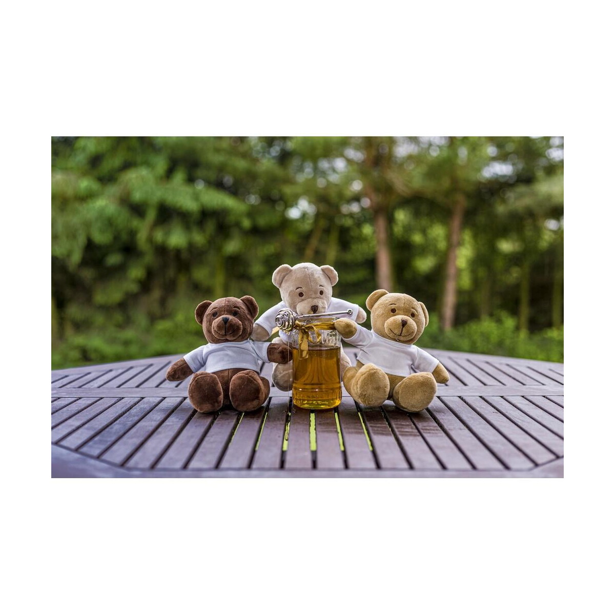 Pluszaki z logo – pluszowy miś | siddy honey HE764_F Pluszowy miś | Siddy Honey HE764_F