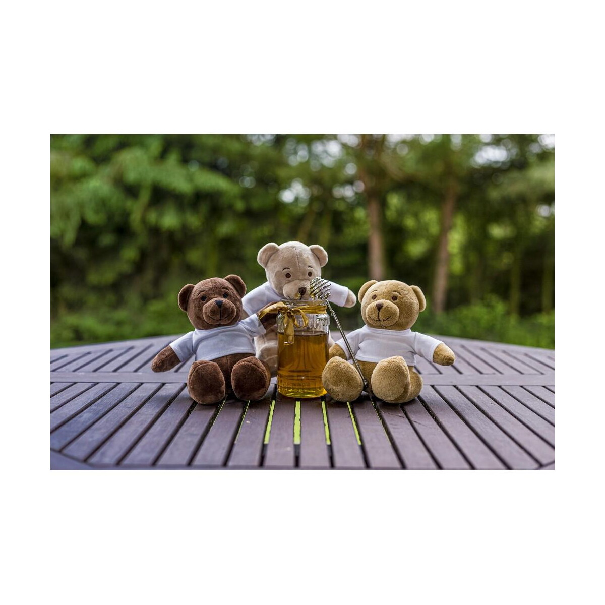 Pluszaki z logo – pluszowy miś | siddy honey HE764_H Pluszowy miś | Siddy Honey HE764_H