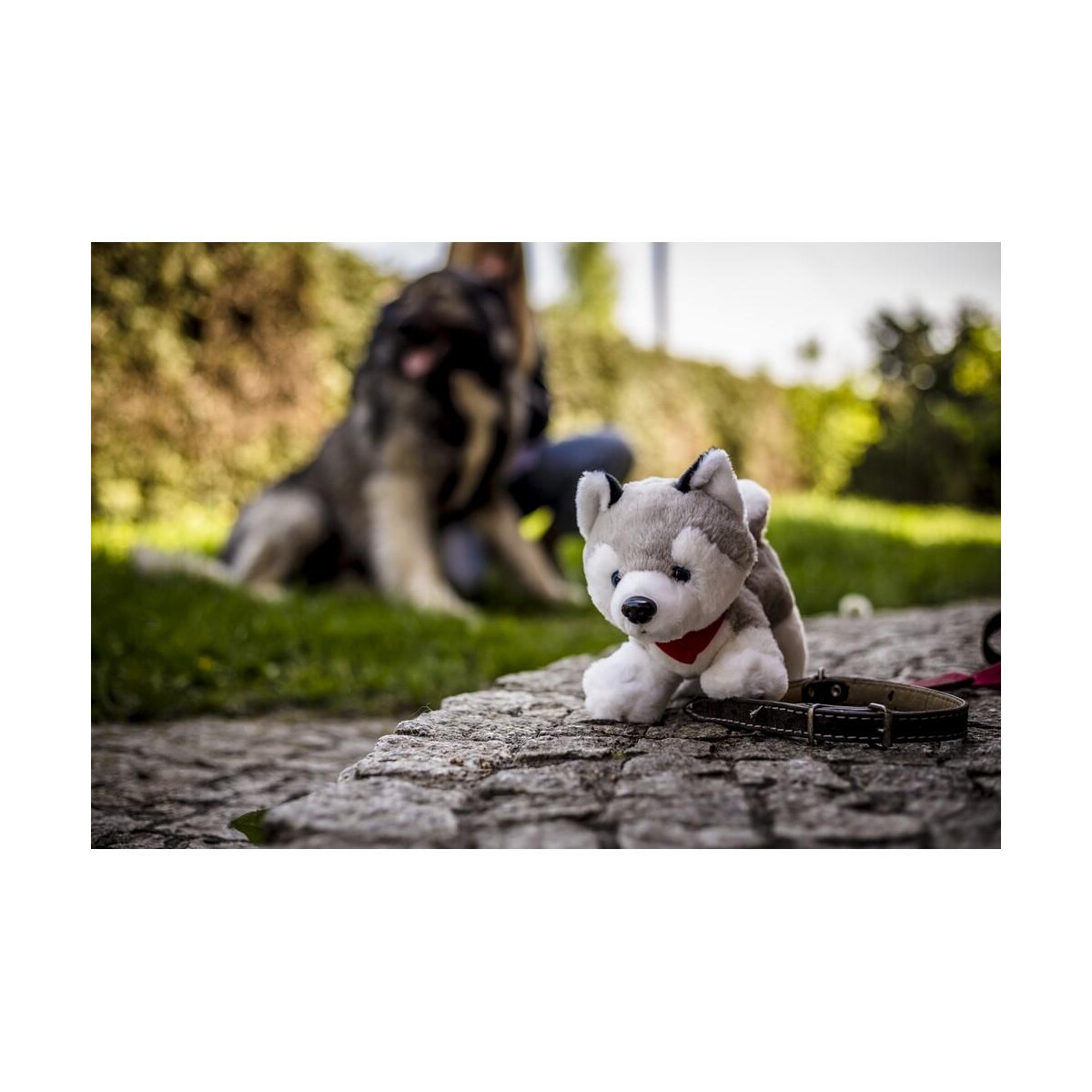 Pluszaki z logo – pluszowy pies husky | trooper HE692_A Pluszowy pies husky | Trooper HE692_A