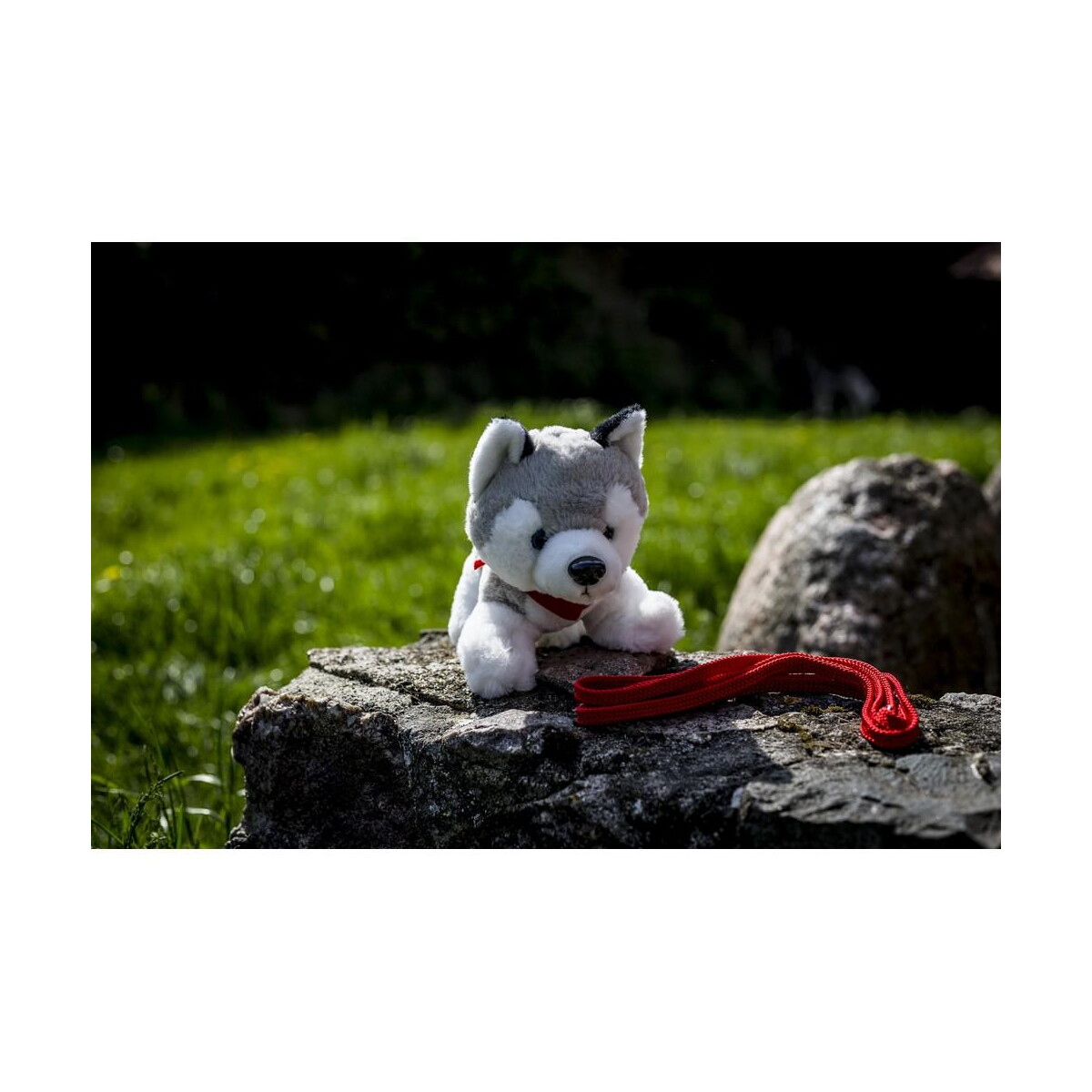 Pluszaki z logo – pluszowy pies husky | trooper HE692_B Pluszowy pies husky | Trooper HE692_B