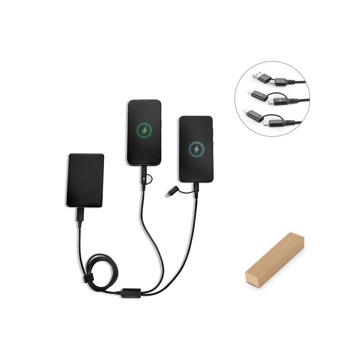 BERTOZZI 97146_set
