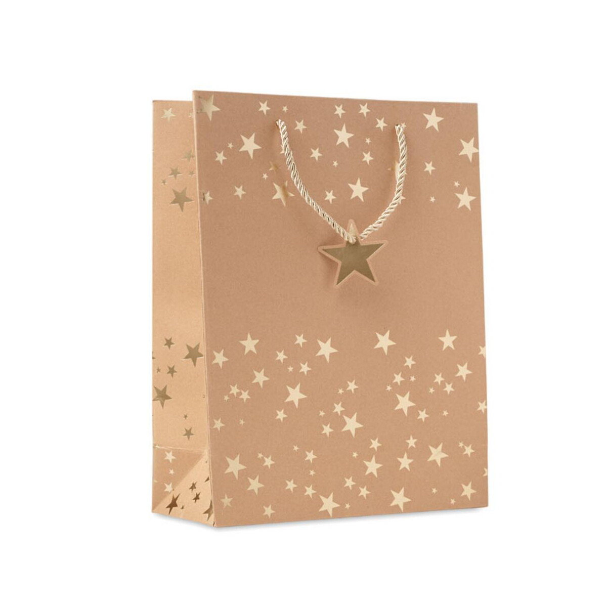 Papierowa torba prezentowa SPARKLE cx1497-98